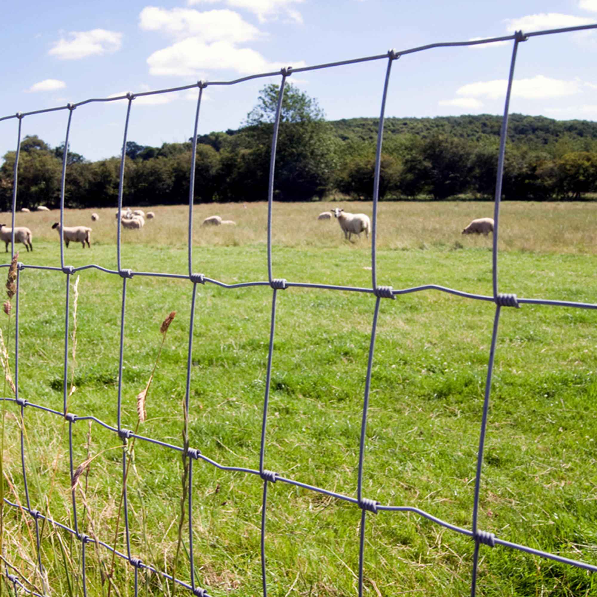Goat Fencing Manufacturers in kolkata
